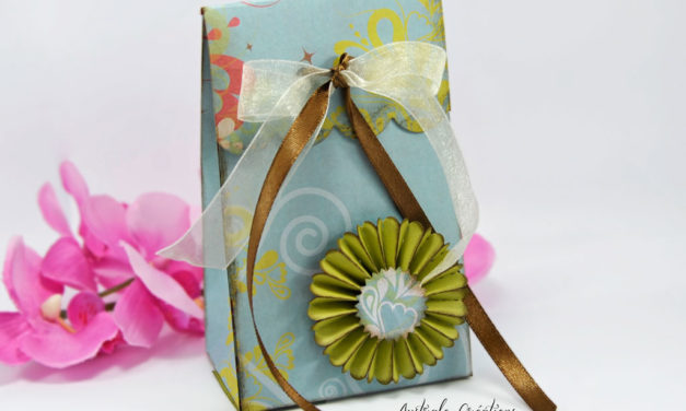 Pochettes Cadeaux