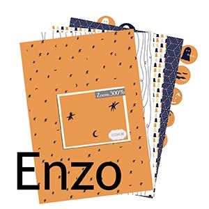 Com.16 Collection Enzo
