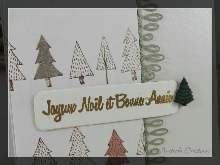 Carte Une Chouette Nouvelle Année 2024 : Envoyer Une Vraie Carte De Voeux 2024 Animaux Rigolos