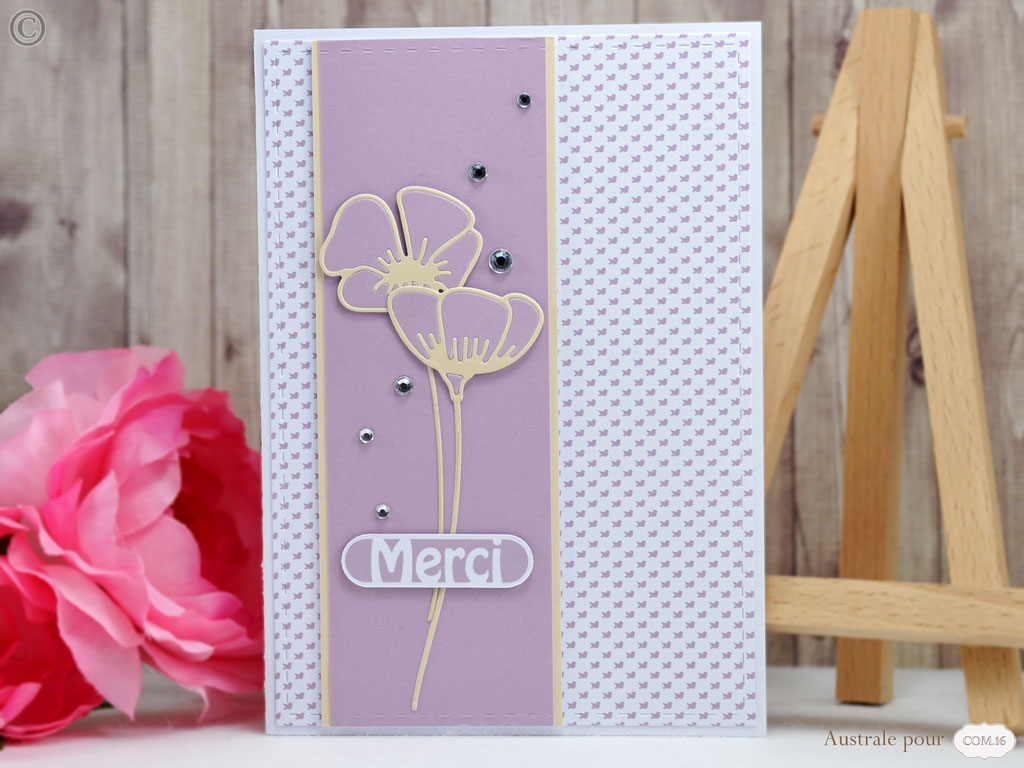 Cartes Merci Australe Cr ations
