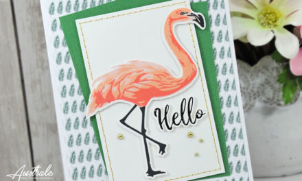 Com16 : Collection June – Hello Flamingo