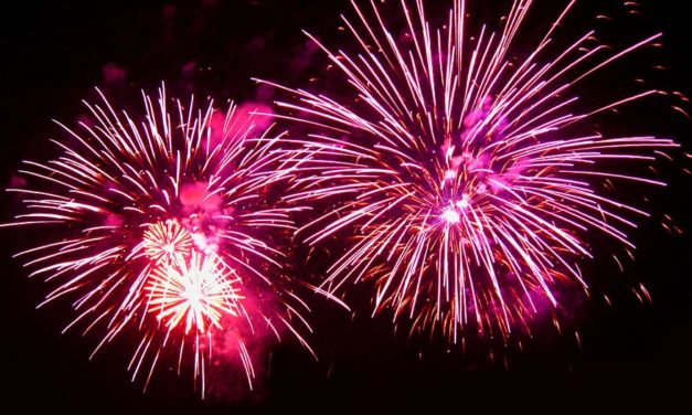 Une belle aventure commence !